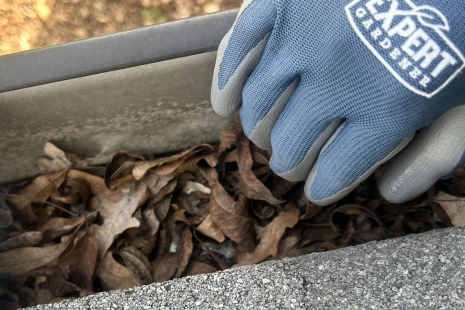 Gutter Cleaning Berryhill