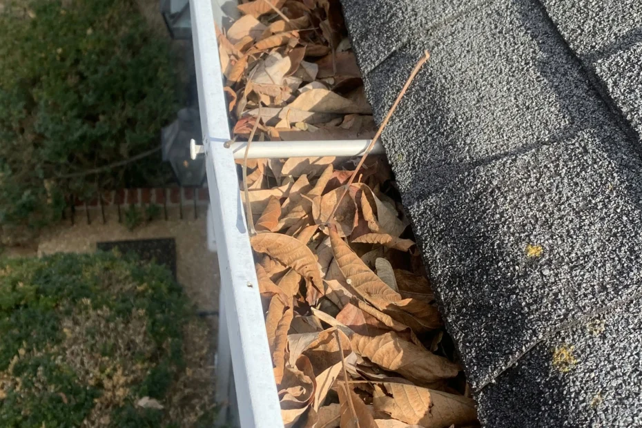 Gutter Cleaning Berryhill