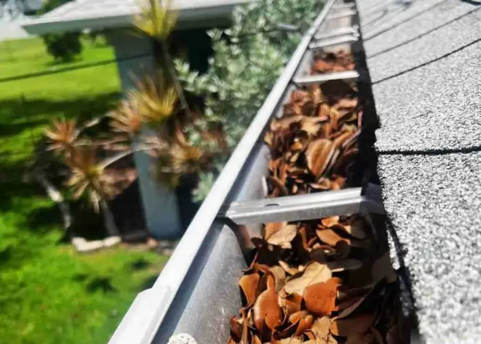 Gutter Cleaning Berryhill home page